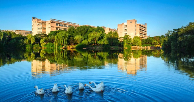 广邀英才！浙江财经大学第五届国际青年学者论坛等你来！