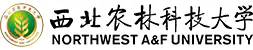 西北农林科技大学食品科学与工程学科2026年诚聘海内外优秀人才