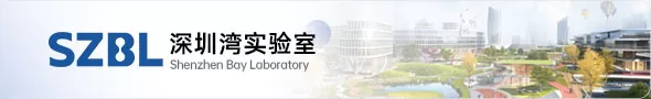深圳湾实验室