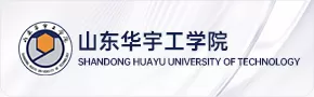 山东华宇工学院