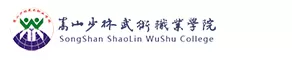 嵩山少林武术职业学院