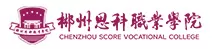 郴州思科职业公司
